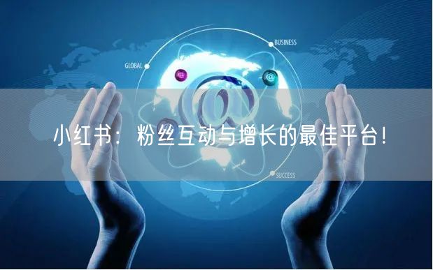 小红书：粉丝互动与增长的最佳平台！
