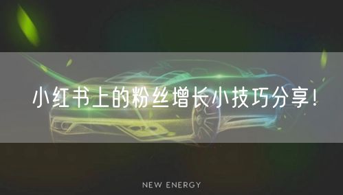 小红书上的粉丝增长小技巧分享！