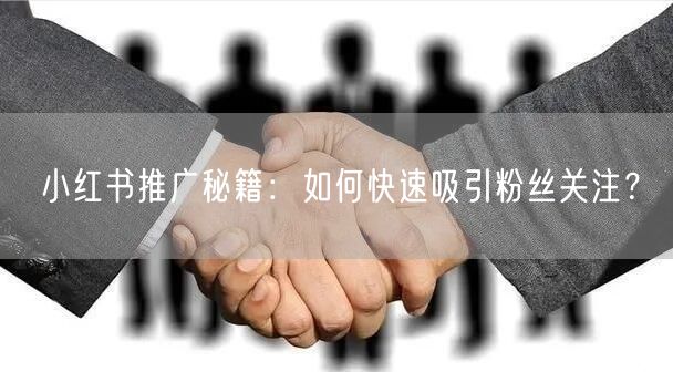 小红书推广秘籍：如何快速吸引粉丝关注？