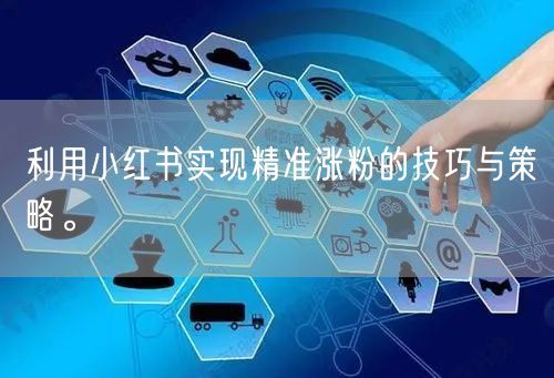 利用小红书实现精准涨粉的技巧与策略。