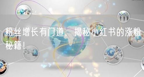 粉丝增长有门道，揭秘小红书的涨粉秘籍！