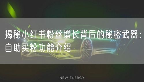 揭秘小红书粉丝增长背后的秘密武器：自助买粉功能介绍