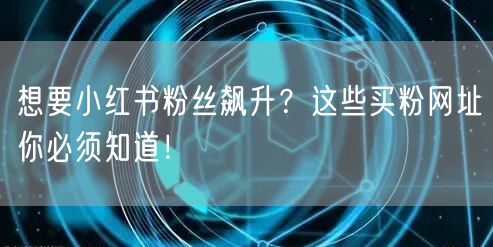 想要小红书粉丝飙升？这些买粉网址你必须知道！