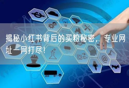 揭秘小红书背后的买粉秘密，专业网址一网打尽！