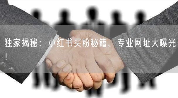 独家揭秘：小红书买粉秘籍，专业网址大曝光！