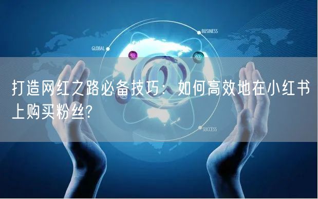 打造网红之路必备技巧：如何高效地在小红书上购买粉丝?