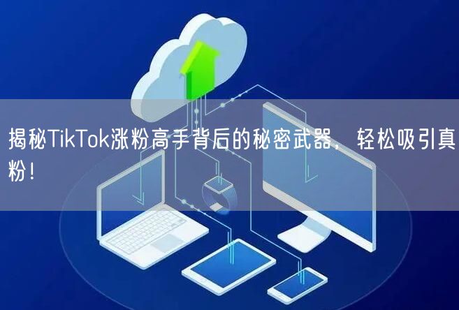 揭秘TikTok涨粉高手背后的秘密武器，轻松吸引真粉！
