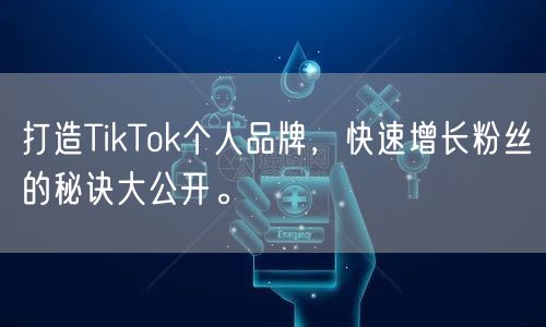 打造TikTok个人品牌，快速增长粉丝的秘诀大公开。